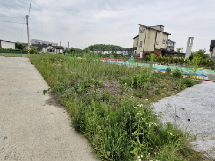 법원경매 2025타경52419 사진8 | 안산시 단원구 대부남동 7-389 기타토지 경매
