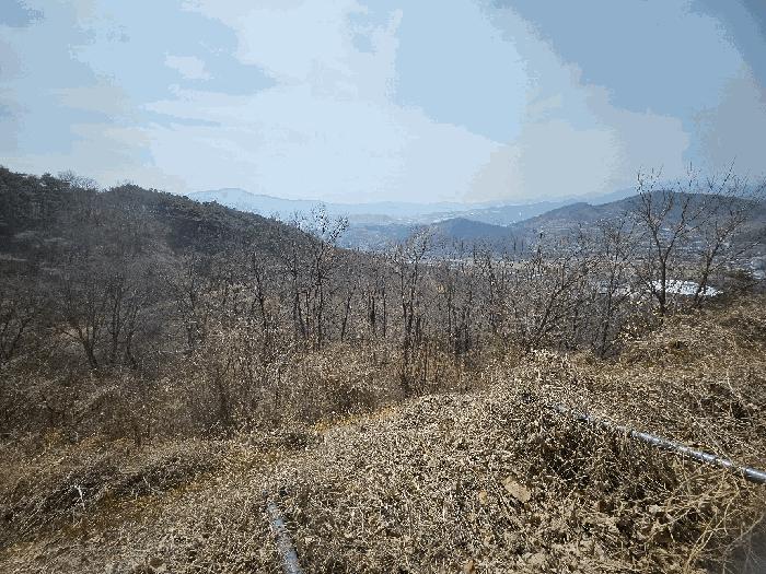 법원경매 2025타경5988 사진3 | 청도군 화양읍 삼신리 기타 경매