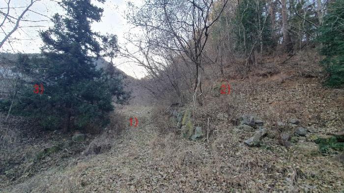 경남 창원시 마산합포구 진전면 금암리 652-5 목장용지 사진 2