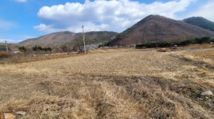 법원경매 2024타경3493 사진10 | 함안군 산인면 송정리 245-1 답 경매