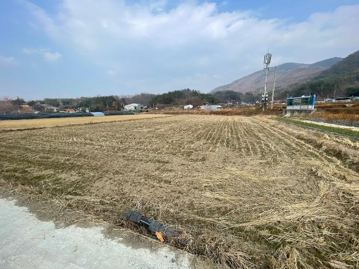법원경매 2024타경3493 사진2 | 함안군 산인면 송정리 245-1 답 경매