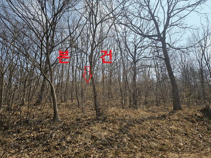 법원경매 2025타경7322 사진3 | 칠곡군 가산면 석우리 임야 경매