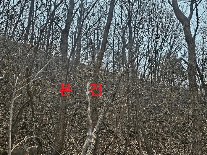 법원경매 2025타경7322 사진4 | 칠곡군 가산면 석우리 임야 경매