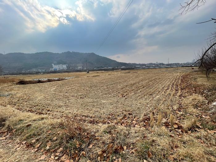 2024타경3493 법원경매 사진3 | 경남 함안군 답 경매