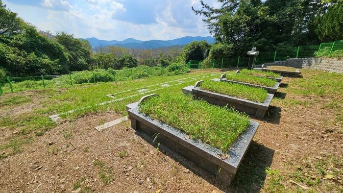 법원경매 2024타경105597 사진3 | 창원시 마산합포구 진전면 오서리 335-7 답 경매