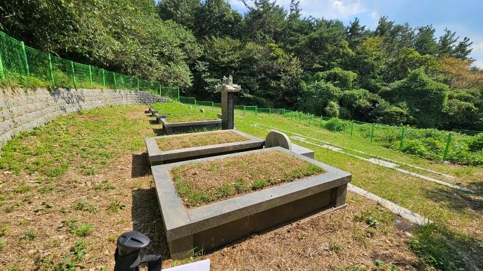 법원경매 2024타경105597 사진7 | 창원시 마산합포구 진전면 오서리 335-7 답 경매