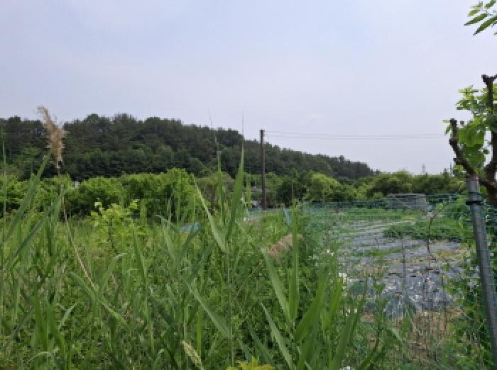 2025타경3539 법원경매 사진32 | 대전 동구 전 경매