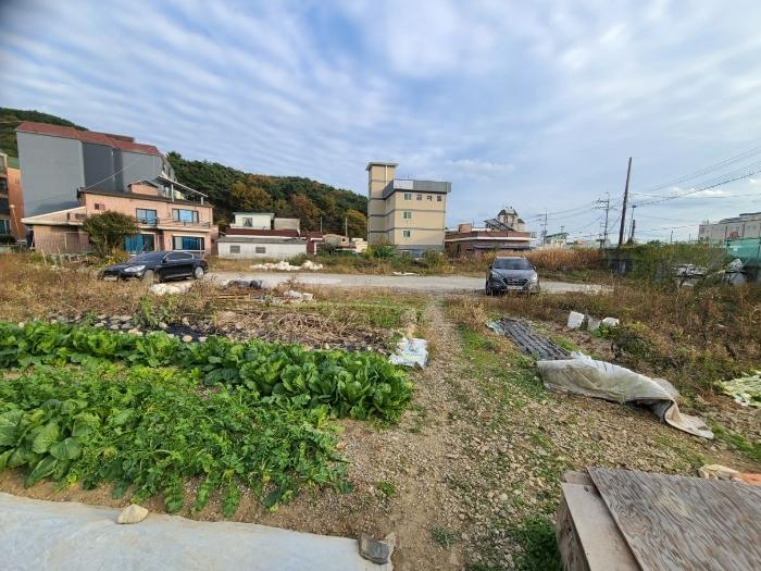 2024타경106750 법원경매 사진2 | 창원 마산합포구 대지 경매