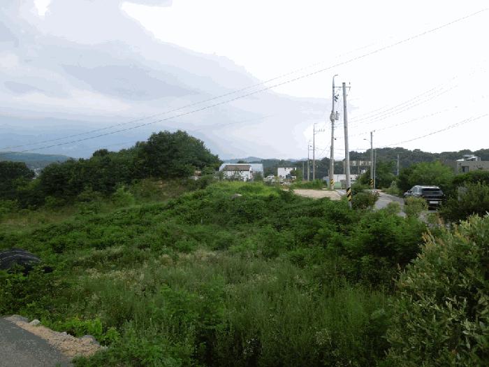 세종 장군면 봉안리 216-7 임야 사진 3