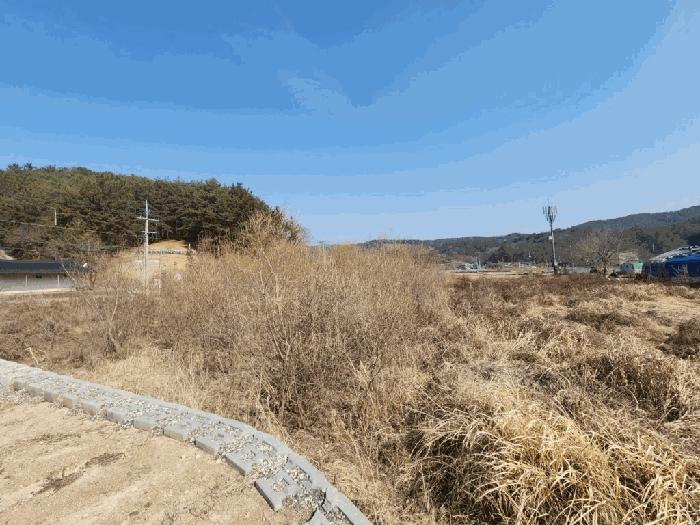 2025타경170 법원경매 사진6 | 경남 함안군 답 경매