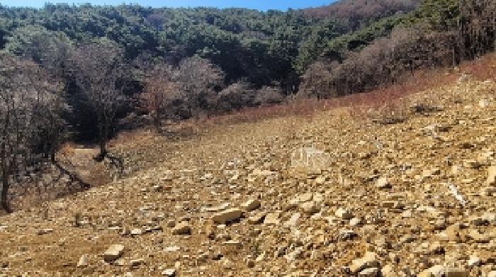 2025타경20353 법원경매 사진13 | 경남 함안군 임야 경매