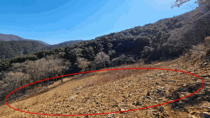 2025타경20353 법원경매 사진9 | 경남 함안군 임야 경매