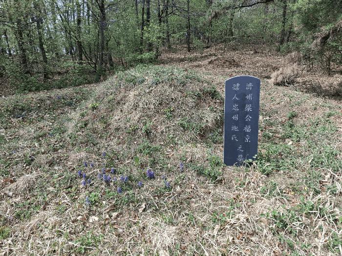 법원경매 2025타경55332 사진2 | 화성시 팔탄면 율암리 임야 경매