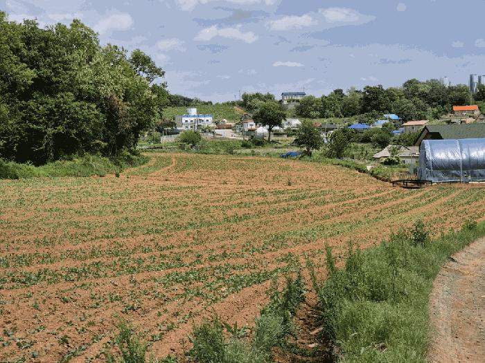 경기도 평택시 안중읍 학현리 산125-40 법원경매 물건 대표사진