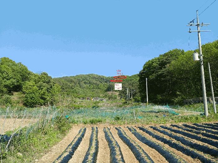 법원경매 2025타경41799 사진2 | 안성시 죽산면 용설리 임야 경매