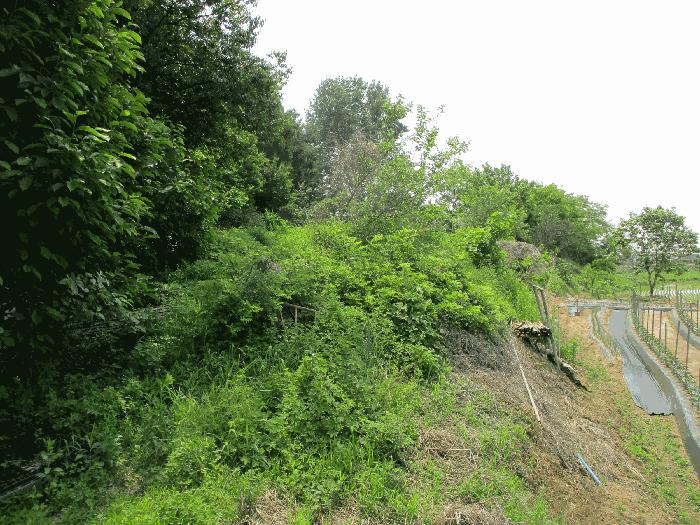 경기도 평택시 고덕면 문곡리 587 법원경매 물건 대표사진