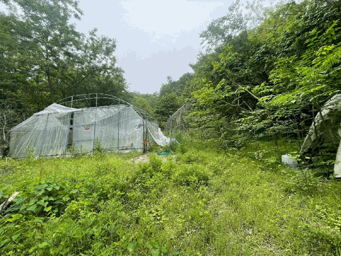 법원경매 2025타경41871 사진3 | 안성시 죽산면 매산리 698 답 경매