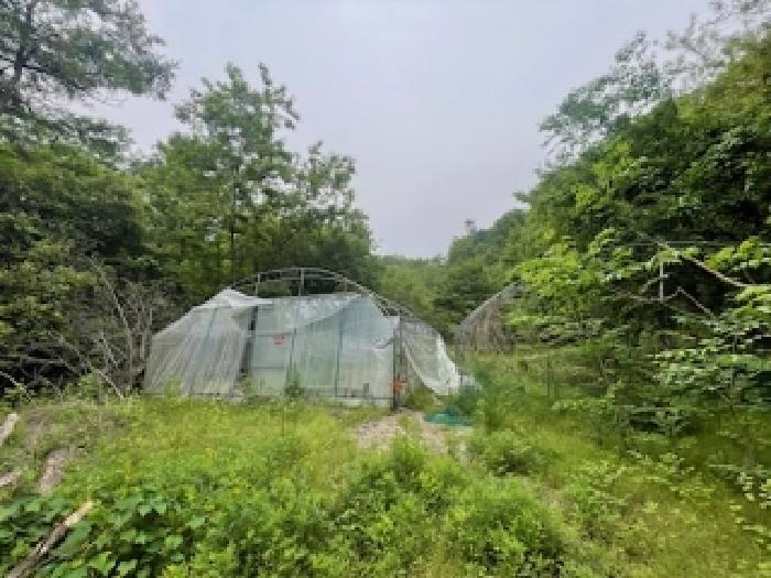 법원경매 2025타경41871 사진5 | 안성시 죽산면 매산리 698 답 경매