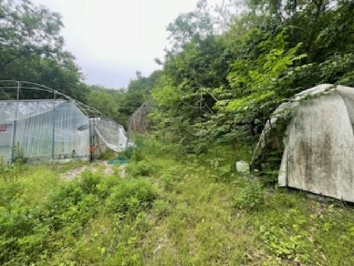 법원경매 2025타경41871 사진6 | 안성시 죽산면 매산리 698 답 경매