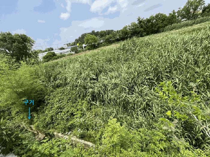 전북 부안군 부안읍 봉덕리 418-5 전 경매 물건 사진