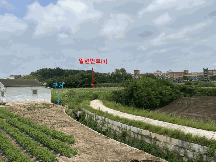 2025타경265 법원경매 사진8 | 전북 부안군 전 경매