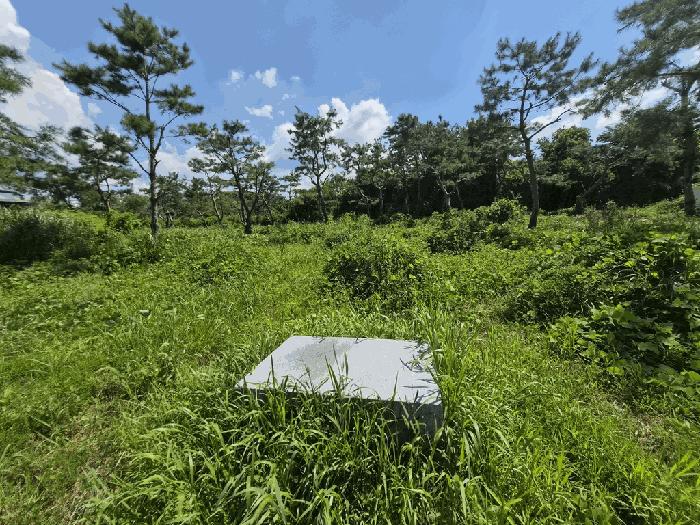 2025타경297 법원경매 사진5 | 전북 고창군 답 경매