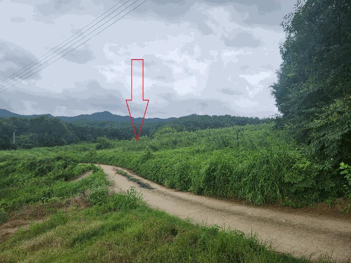 2025타경308 법원경매 사진2 | 전북 정읍시 임야 경매