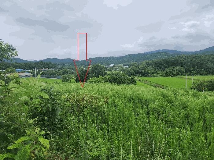 2025타경308 법원경매 사진3 | 전북 정읍시 임야 경매