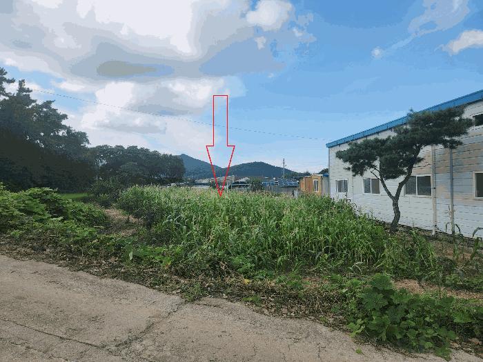 법원경매 2025타경316 사진14 | 부안군 주산면 소주리 423 전북 부안군 창고 경매
