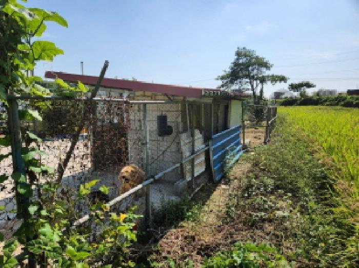 법원경매 2025타경316 사진75 | 부안군 주산면 소주리 423 전북 부안군 창고 경매
