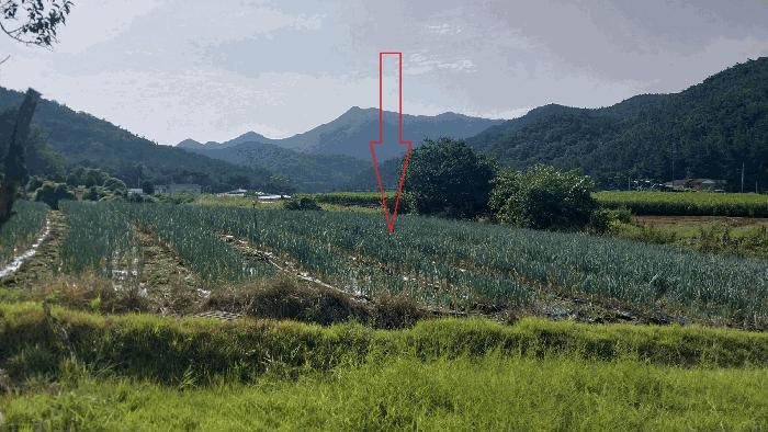 법원경매 2025타경322 사진3 | 부안군 변산면 지서리 188-12 전 경매