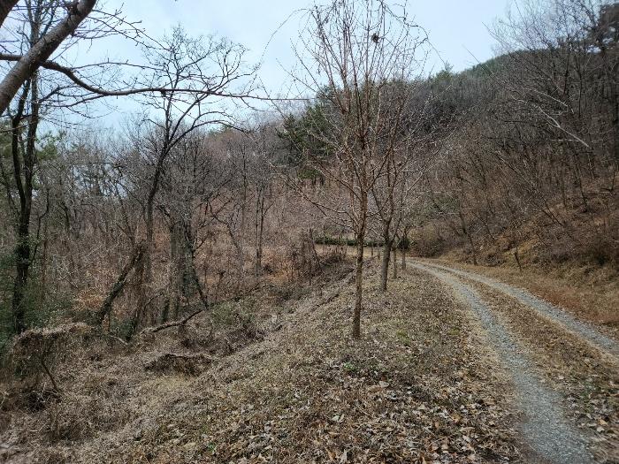 2023타경39481 법원경매 사진19 | 경남 남해군 주택건물 경매