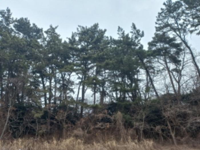 2023타경39481 법원경매 사진35 | 경남 남해군 주택건물 경매
