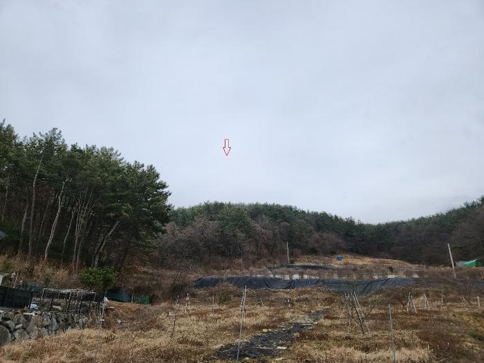 2023타경39481 법원경매 사진7 | 경남 남해군 주택건물 경매