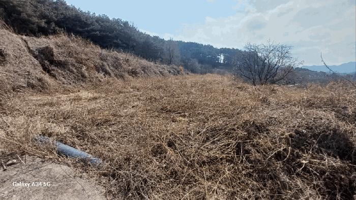 법원경매 2025타경10204 사진7 | 안동시 풍천면 가곡리 440-3 대지,임야,전답 경매
