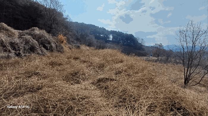 법원경매 2025타경10204 사진8 | 안동시 풍천면 가곡리 440-3 대지,임야,전답 경매