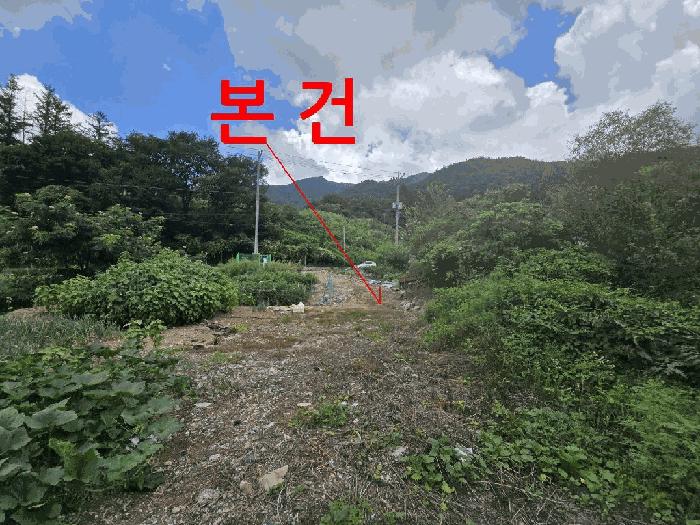 2025타경31561 법원경매 사진4 | 전북 무주군 답 경매