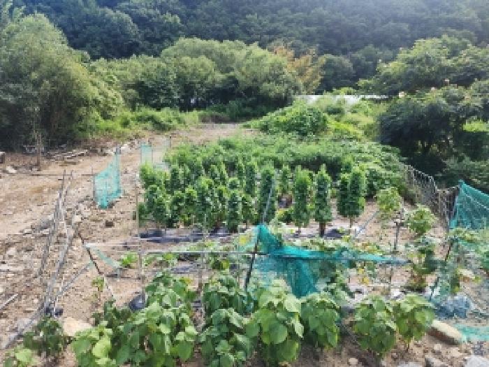 2025타경31561 법원경매 사진5 | 전북 무주군 답 경매