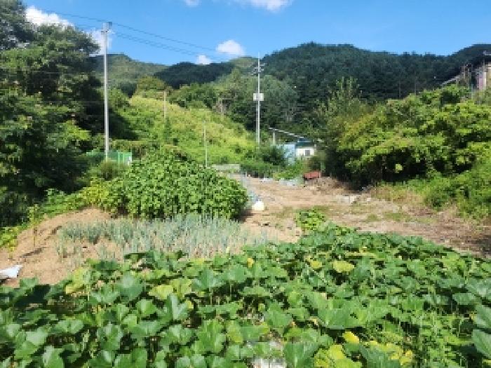 2025타경31561 법원경매 사진9 | 전북 무주군 답 경매
