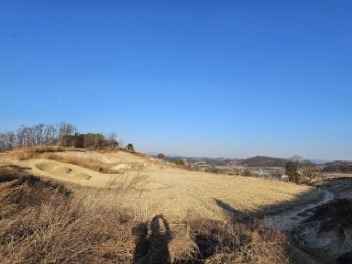 경상북도 영주시 봉현면 대촌리 432-2 법원경매 물건 대표사진