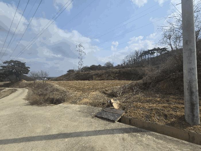 법원경매 2025타경100266 사진2 | 안동시 풍산읍 괴정리 임야 경매