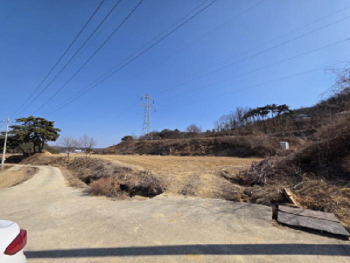 법원경매 2025타경100266 사진7 | 안동시 풍산읍 괴정리 임야 경매