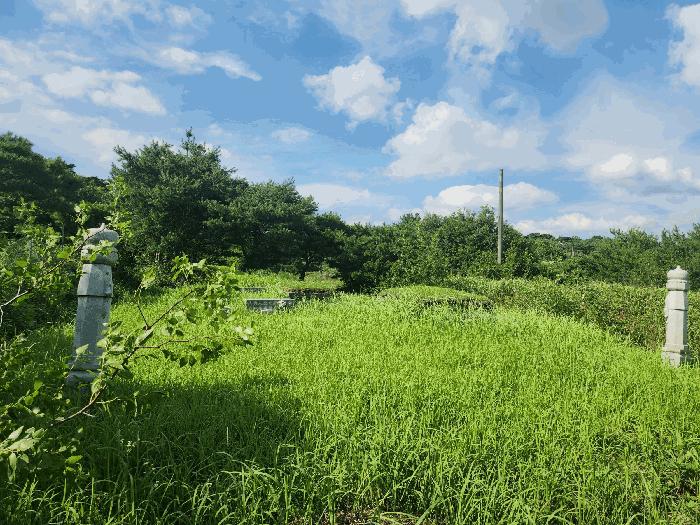 전북특별자치도 고창군 신림면 덕화리 351-2 법원경매 물건 대표사진