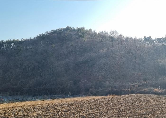 2025타경30266 법원경매 사진2 | 경남 하동군 임야 경매