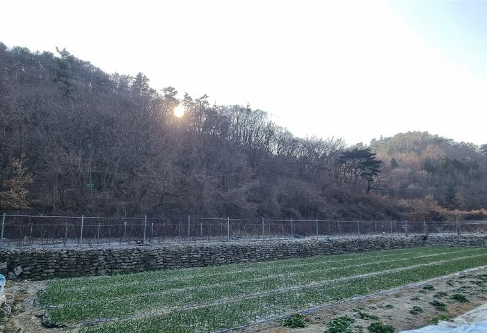 2025타경30266 법원경매 사진3 | 경남 하동군 임야 경매