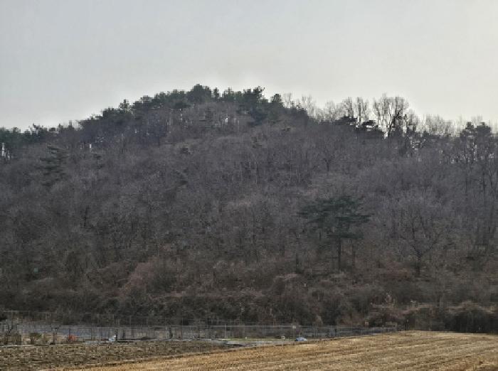 2025타경30266 법원경매 사진4 | 경남 하동군 임야 경매