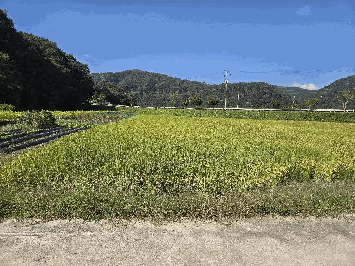 2025타경31673 법원경매 사진5 | 전북 임실군 대지 경매