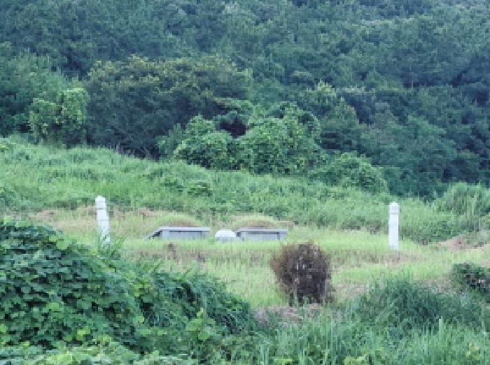 2025타경51713 법원경매 사진32 | 전남 고흥군 임야 경매