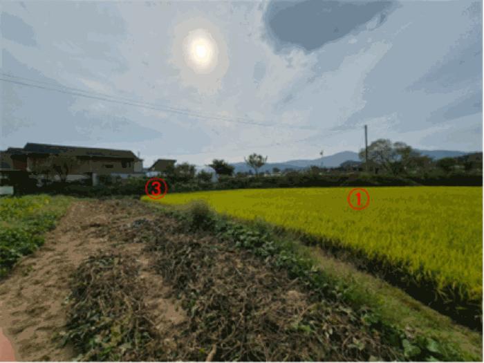 법원경매 2025타경73262 사진2 | 포천시 창수면 추동리 43-1 답 경매