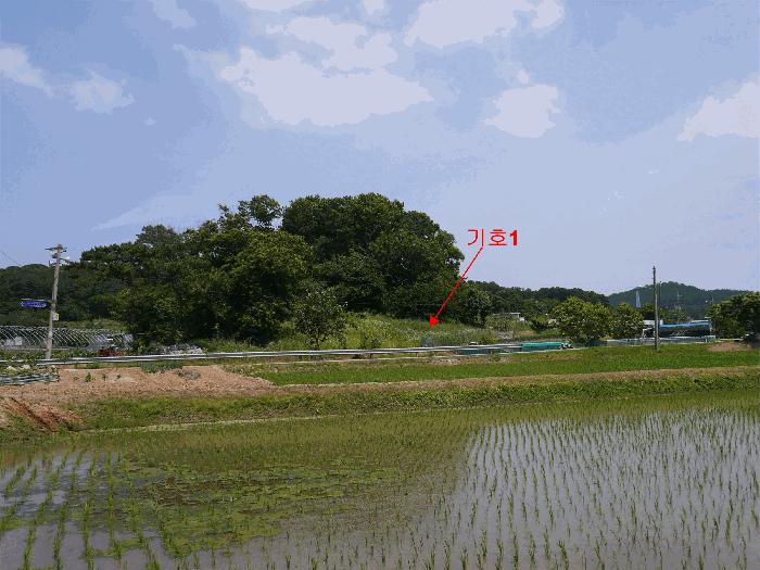 법원경매 2025타경33483 사진2 | 김포시 하성면 마조리 임야 경매